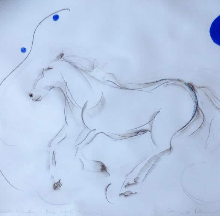 white horse, blue light beach